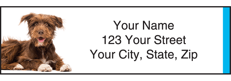 The Humane Society Address Labels