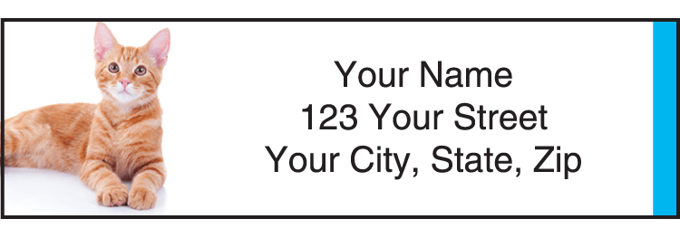 the humane society address labels - click to preview