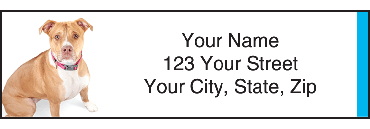 the humane society address labels - click to preview