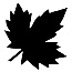 Maple Leaf