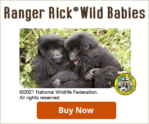 Ranger Rick Wild Babies Checkbook Cover