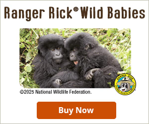 Ranger Rick Wild Babies Checkbook Cover