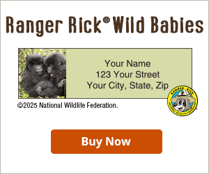 Ranger Rick Wild Babies Address Labels