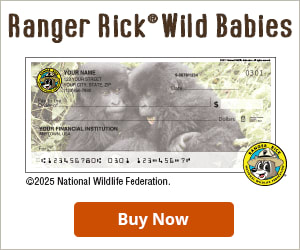 Ranger Rick Wild Babies Checks